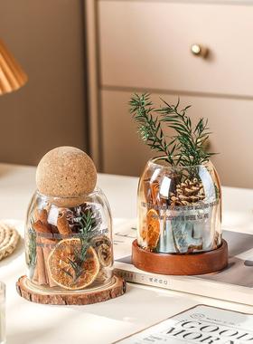 聚财能量瓶家居桌面创意摆件肉桂生财招财瓶玄关装饰新婚乔迁礼物