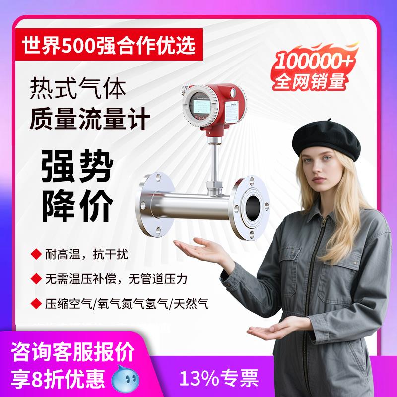 空气流量计气体压缩空气管道流量计进口插入式高温热式质量流量计