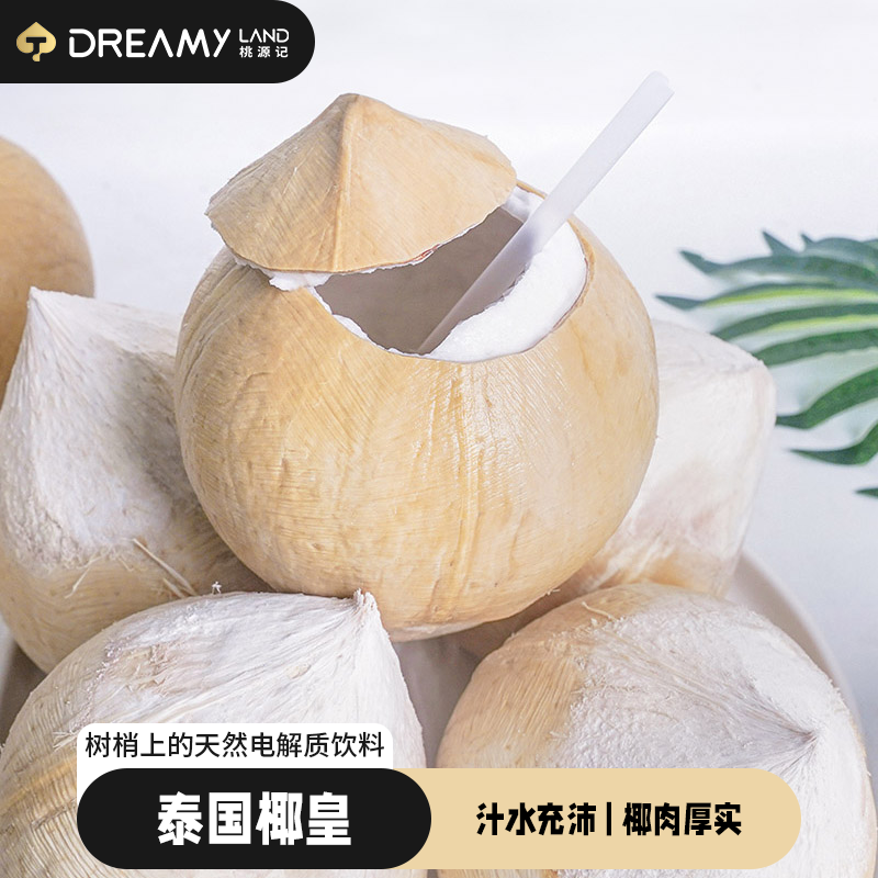 【桃源记】（中果）泰国椰皇新鲜水果椰子