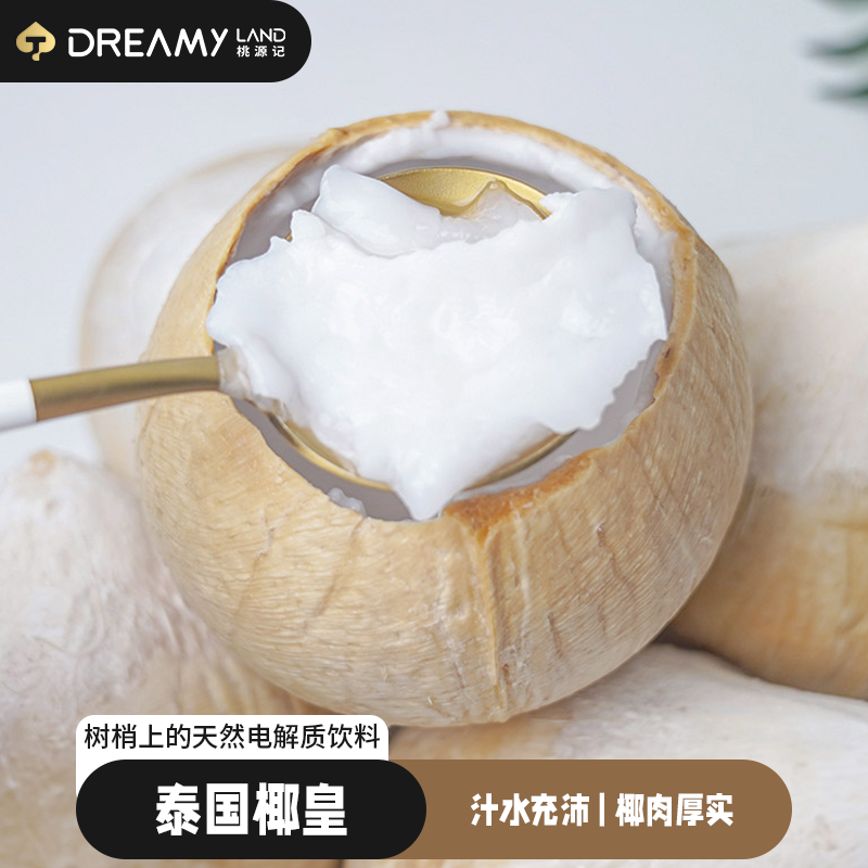 【桃源记】（大果）泰国椰皇新鲜水果椰子