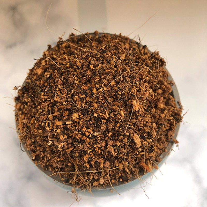 黄荆专用土盆景土壤酸性沙质盆栽营养土家用园艺泥土绿植种植肥料