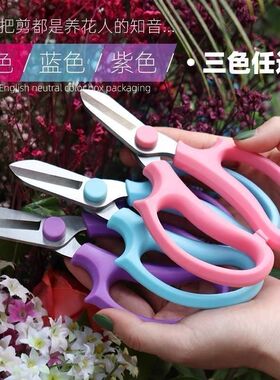 花艺园艺剪刀插花专用鲜花修枝剪宽头剪子花艺师花店修花多功能