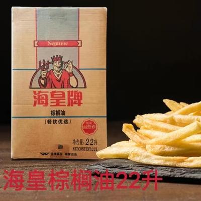 海皇牌棕榈油袋装食用油油炸商用烘焙起酥油炸鸡汉堡鸡排专用油