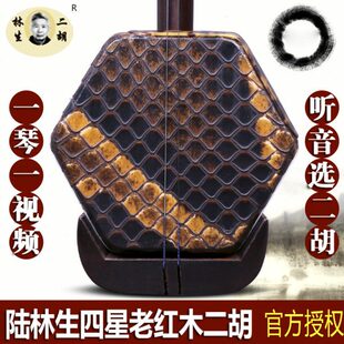 陆林生二胡四星明清旧料老红木二胡琴林生二胡专业演奏考级乐器