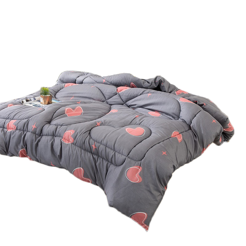 2022b款被子冬被夏凉被双人薄春秋被芯单人学生宿舍棉被褥太空调