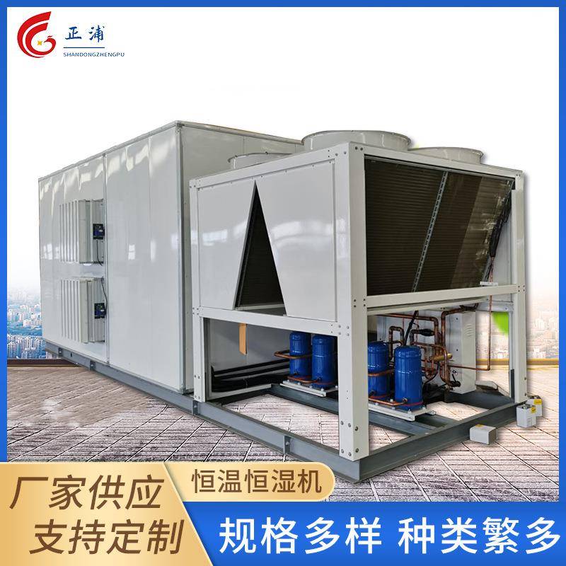 直膨式空调机组恒温恒湿无尘车间净化空调机组屋顶式一体直膨机组