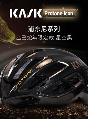 意大利KASK PROTONE ICON浦东尼公路自行车骑行头盔限定黑金版