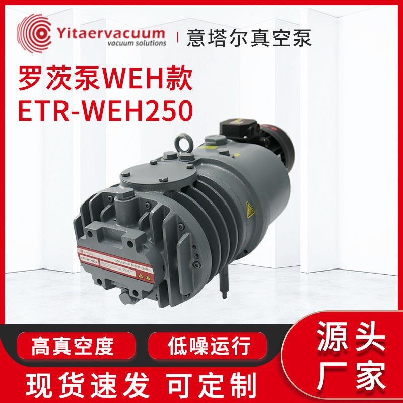 罗茨真空泵现货罗茨泵WEH款ETR-WEH250自然风冷工业真空机厂家