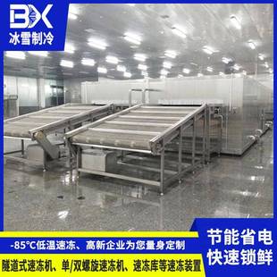 惠州冷冻食品厂速冻机芋圆汤圆饺子速冻设备蛋挞皮面食速冻机