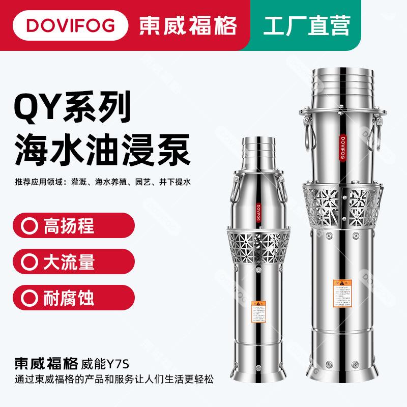 QD多级潜水泵304不锈钢高扬程大流量家用220V小老鼠清水泵油浸泵