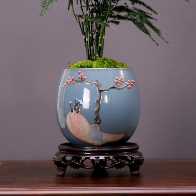 室内文竹盆栽创意客厅电视柜桌面小盆景植物净化空气书房绿植摆设