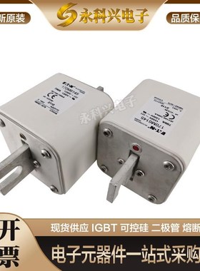 全新巴斯曼快速熔断器170M6210/6211/6212/6213/6214/6215/6216