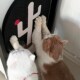 猫抓板耐磨不掉屑磨爪器可挂墙猫爪板耐抓立式 瓦楞纸贴墙猫咪用品