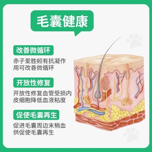 兽医张旭 狗罐头毛囊营养配方湿粮鲜肉滋补主食狗狗暴毛零食整箱