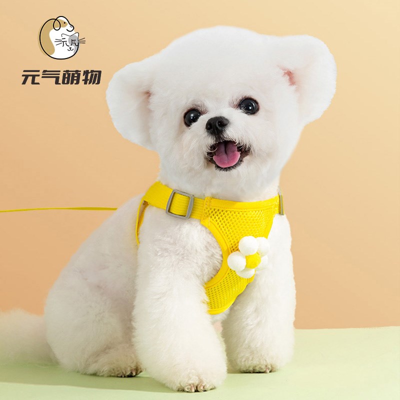 小狗狗牵引绳背心式小型幼犬泰迪比熊遛狗绳狗链子猫咪狗狗胸背带