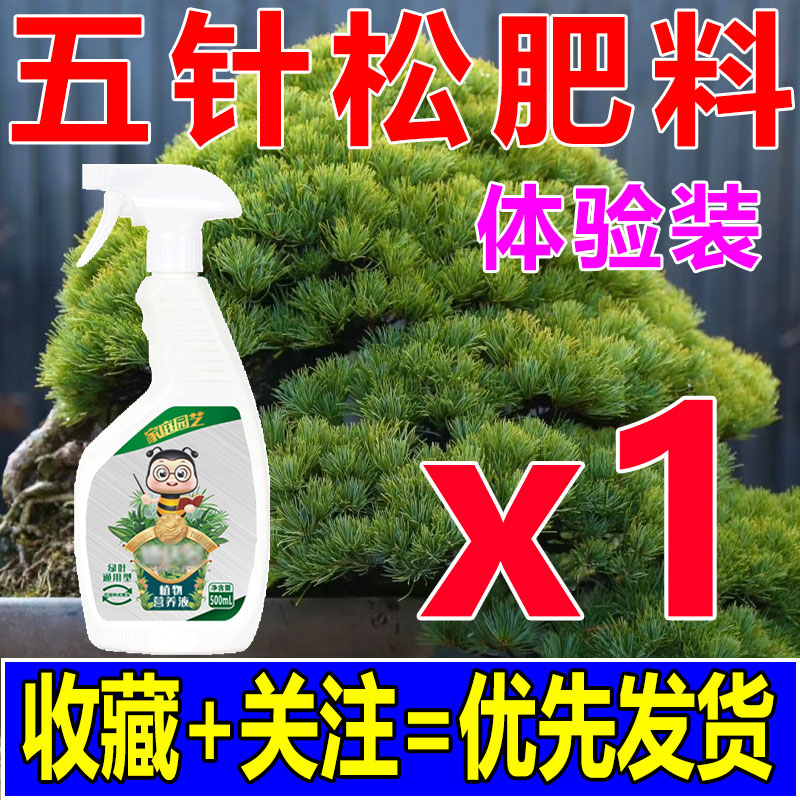 五针松专用肥黑松树盆景营养液罗汉松叶枯病药蓬莱松柏防针叶发黄