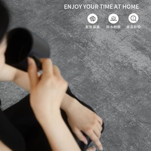 客厅地毯免洗可擦洗意式极简2024新款地垫轻奢高级感家用沙发茶几