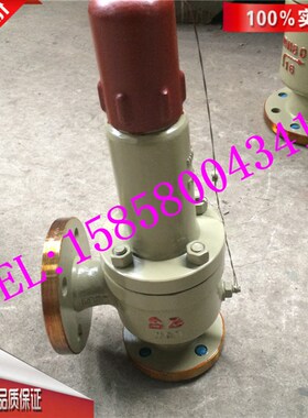 AH42F-25C-DN25/32/40立式液相安全回流阀 AH42F封闭式安全回流阀