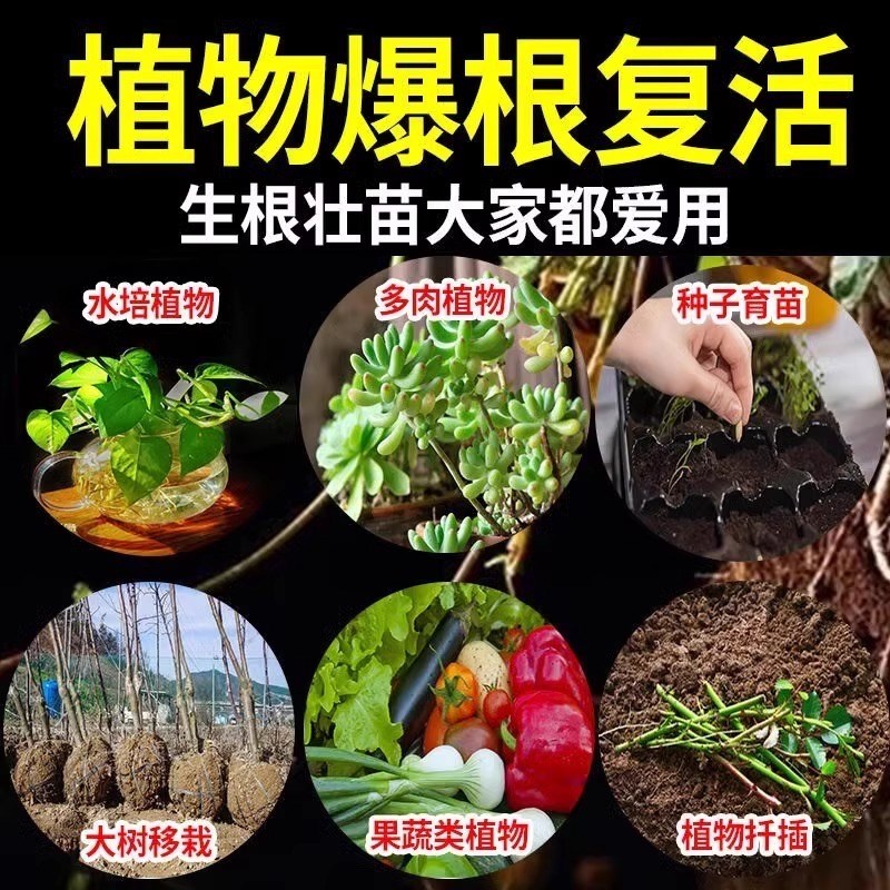 生根剂药水大树复活营养液枯树再生果树木移栽花卉植物扦插通用型