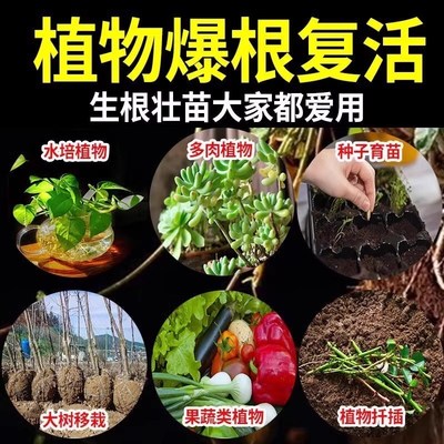 生根剂药水大树复活营养液枯树再生果树木移栽花卉植物扦插通用型