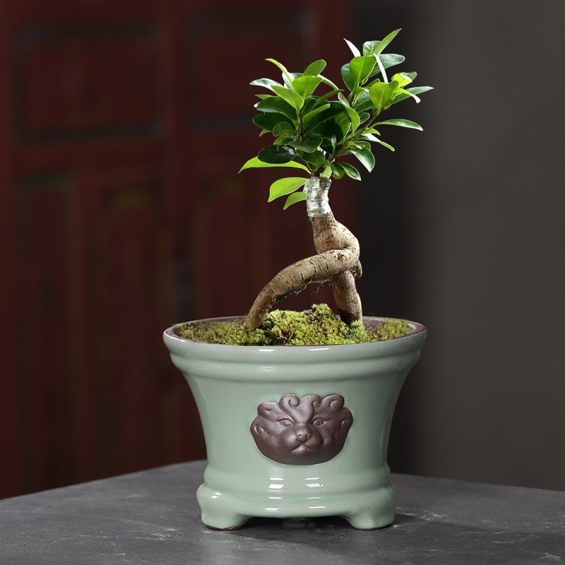 创意造景多肉花盆陶瓷新款吊兰盆栽绿植蝴蝶兰专用个性中国风紫砂