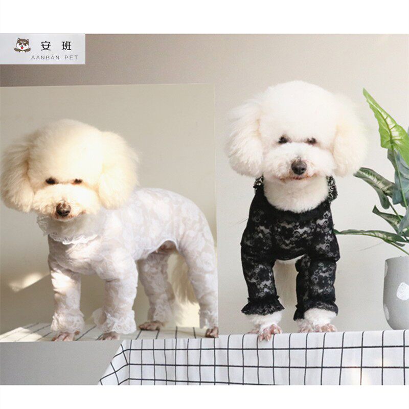 安班宠物春夏四脚防尘长袖衣服泰迪比熊贵宾夏款蕾丝狗狗防晒衣服