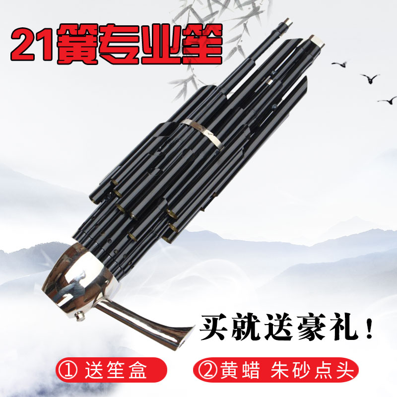21簧专业笙扩音笙21簧专业扩音笙民族吹奏乐器演奏专用