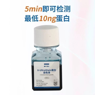WB电泳实验X-UltraStain蛋白染色液5min即可检测低至10ng蛋白