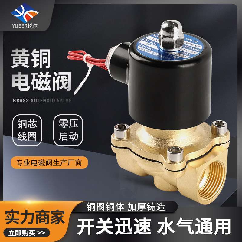 220v 24v直动式水用管道控制开关电子阀常闭过水过气黄铜电磁阀门
