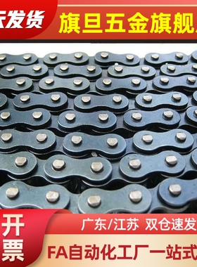 CHES50-36/40/44/48/60/64不锈钢单排链条滚链链轮