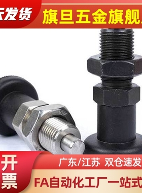FPXA/FPXK8/8L/10/10L/12/12L/16/16L旋钮柱塞 带法兰型 代替