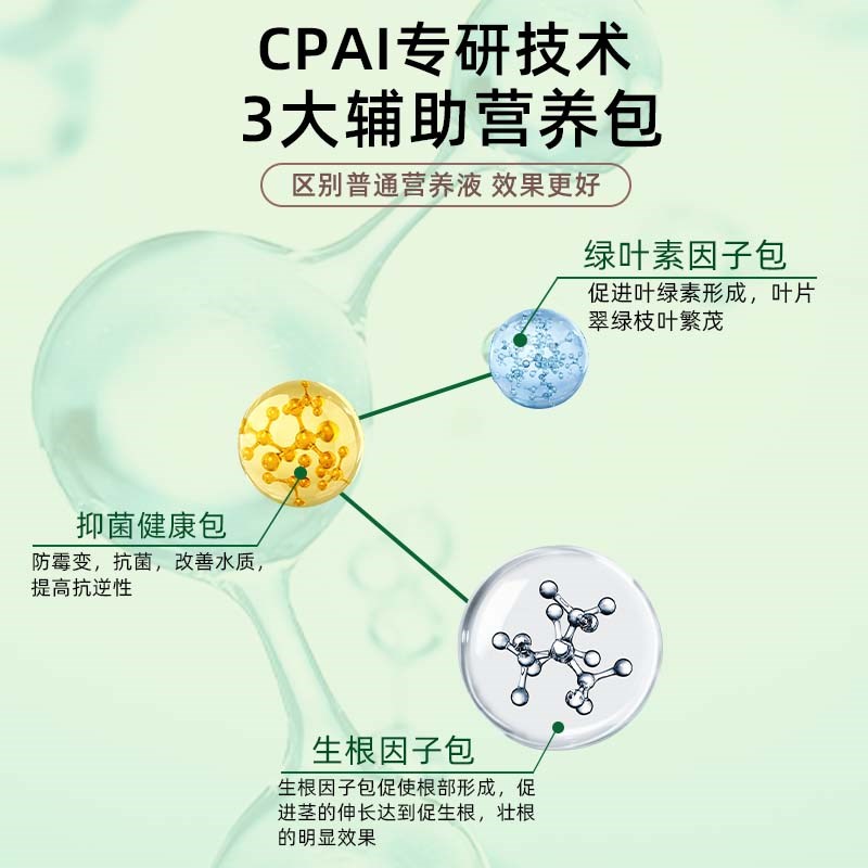 富贵竹营养液专用治黄叶生根水培植物竹子龙竹转运竹观音竹通用型