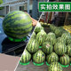 超市水果圆形摆放垫子西瓜圈固定哈密瓜不易伤皮套圈防滑垫神器