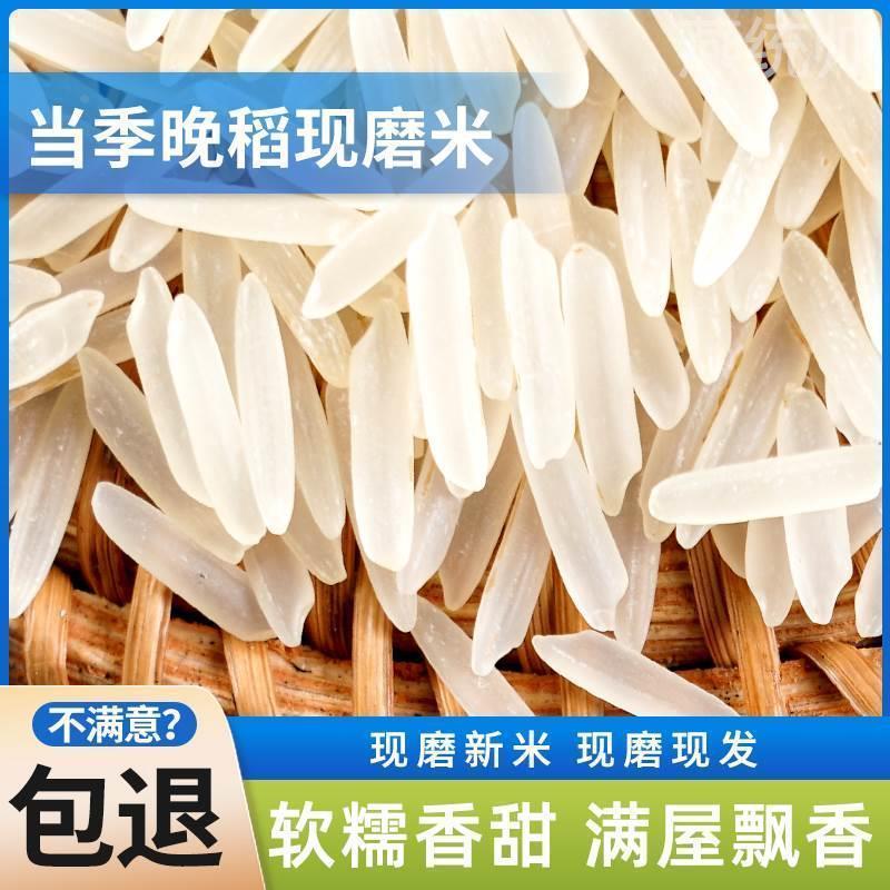特级猫牙米10斤泰国香米形状长粒香大米丝苗米煲仔饭米官方旗舰店