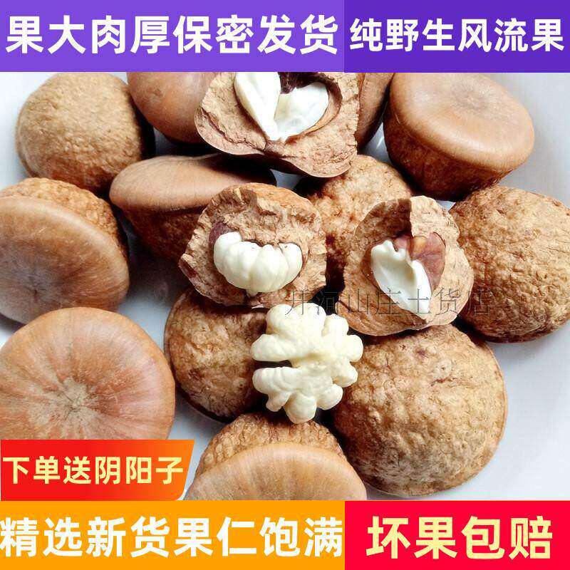风流果野生正品500g 男性泡酒料石头果广西梧州特产胖头果厚鳞柯