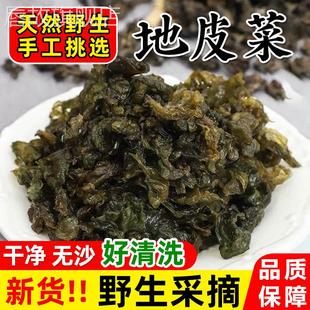 地皮菜新鲜干货甘肃特产野生地软地木耳非免洗地衣菜炒野菜蒸包子