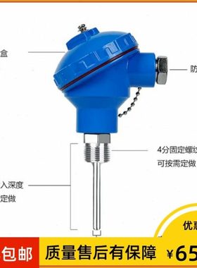 上海仪表 WZP2-236 双芯热电阻 pt100 Φ6*150mm -200~420℃ g1/2