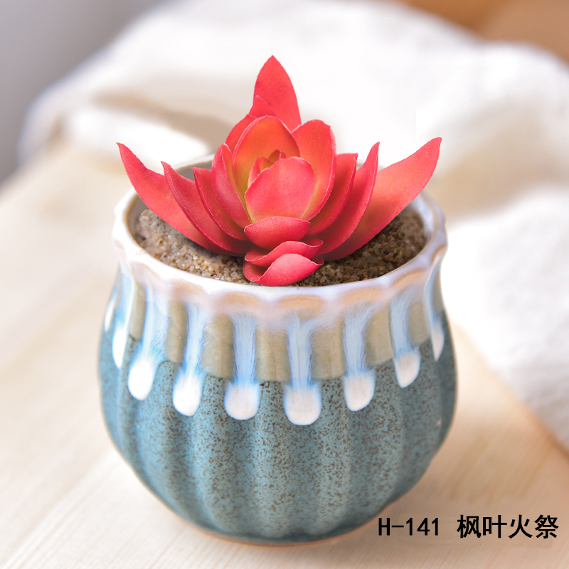 多肉植物含盆带土带肉肉