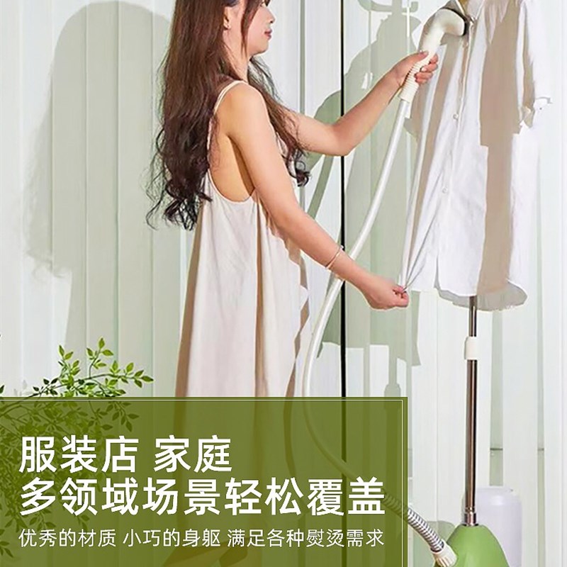 域桥蒸汽挂烫机X6大功率大水壶服装店商用家用熨斗