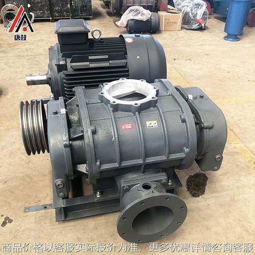 75罗茨风机 灰斗罗茨式气化风机 150双油箱罗茨风机