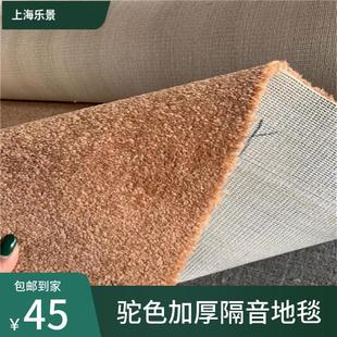 卧室房间满铺加厚弯头纱隔音吸音地毯家用舞蹈室美容院4米可裁剪
