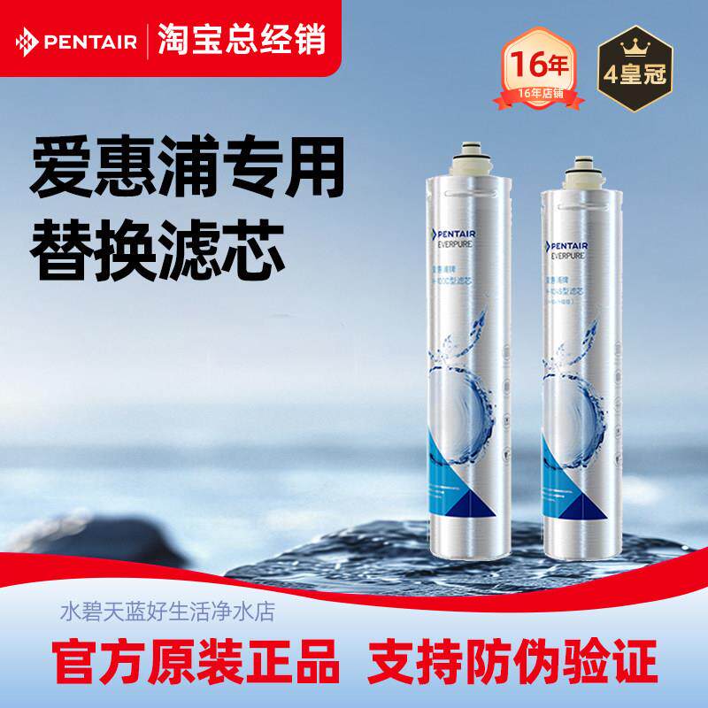 滨特尔 爱惠浦原装H100 H104滤芯 爱惠浦净水器滤芯H-100滤芯家用