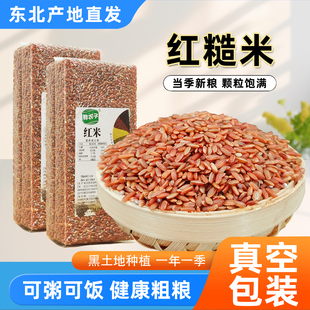 胚芽红糙米25年农家新货粳稻米红米五谷杂粮主食代餐粗粮粥米饭