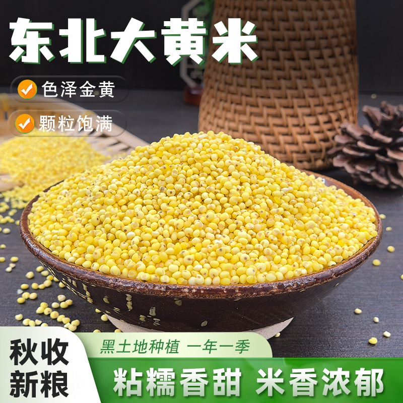 东北大黄米25年农家新货5斤粘米粥包汤圆糯小米粽子黄米五谷杂粮