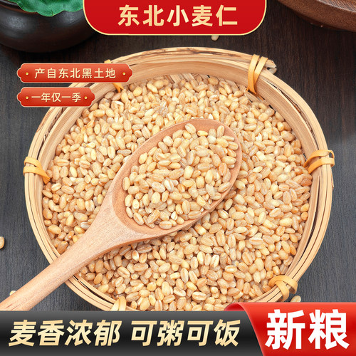 小麦仁新货新麦小麦粒五谷杂粮粗粮新鲜麦子无杂质磨面煮粥