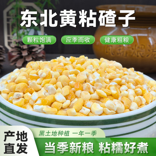 东北黄粘碴子大碴子中粒农家自产糯玉米粒新磨玉米碴苞米茬子5斤