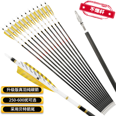 箭支 纯碳箭真羽l碳素箭传统美猎反曲弓射箭运动比赛弓箭箭支一打