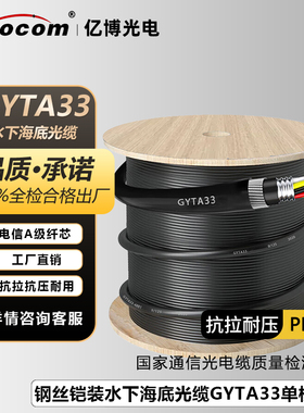 亿博（Ebocom）GYTA33光缆室外水下光缆  国标足米室外钢丝铠装水下直埋钢丝重铠海底光缆光纤线
