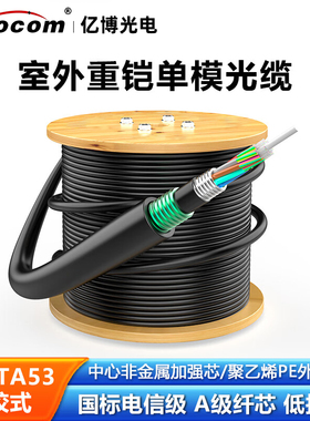 亿博（Ebocom）GYFTA53非金属铠装光缆 国标室外单模层绞式双护套重铠直埋地埋通信线缆 防鼠防潮重铠光纤线