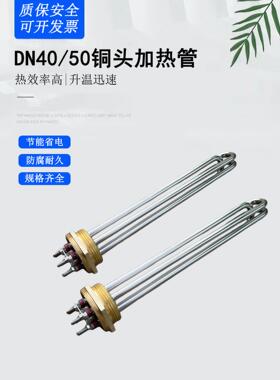 Dn40工程热管锅炉水箱大功率铜头电热管Dn50热管380V